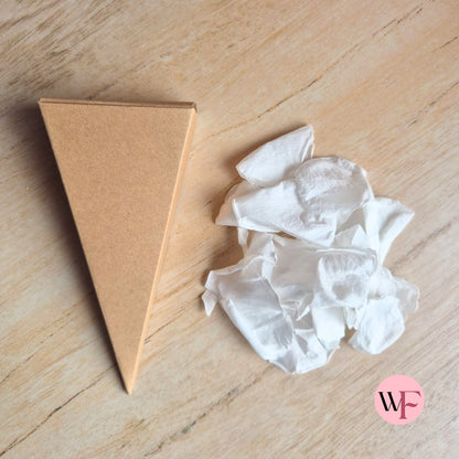 DIY closed Petal/Paper confetti cones (Large)