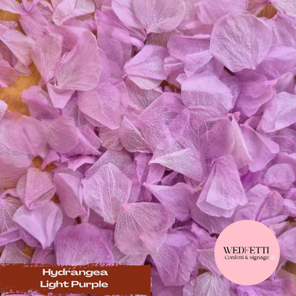 Petal Confetti hydrangea - Light Purple