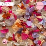 Petal Confetti hydrangea - Lavender Fruit Salad Peach