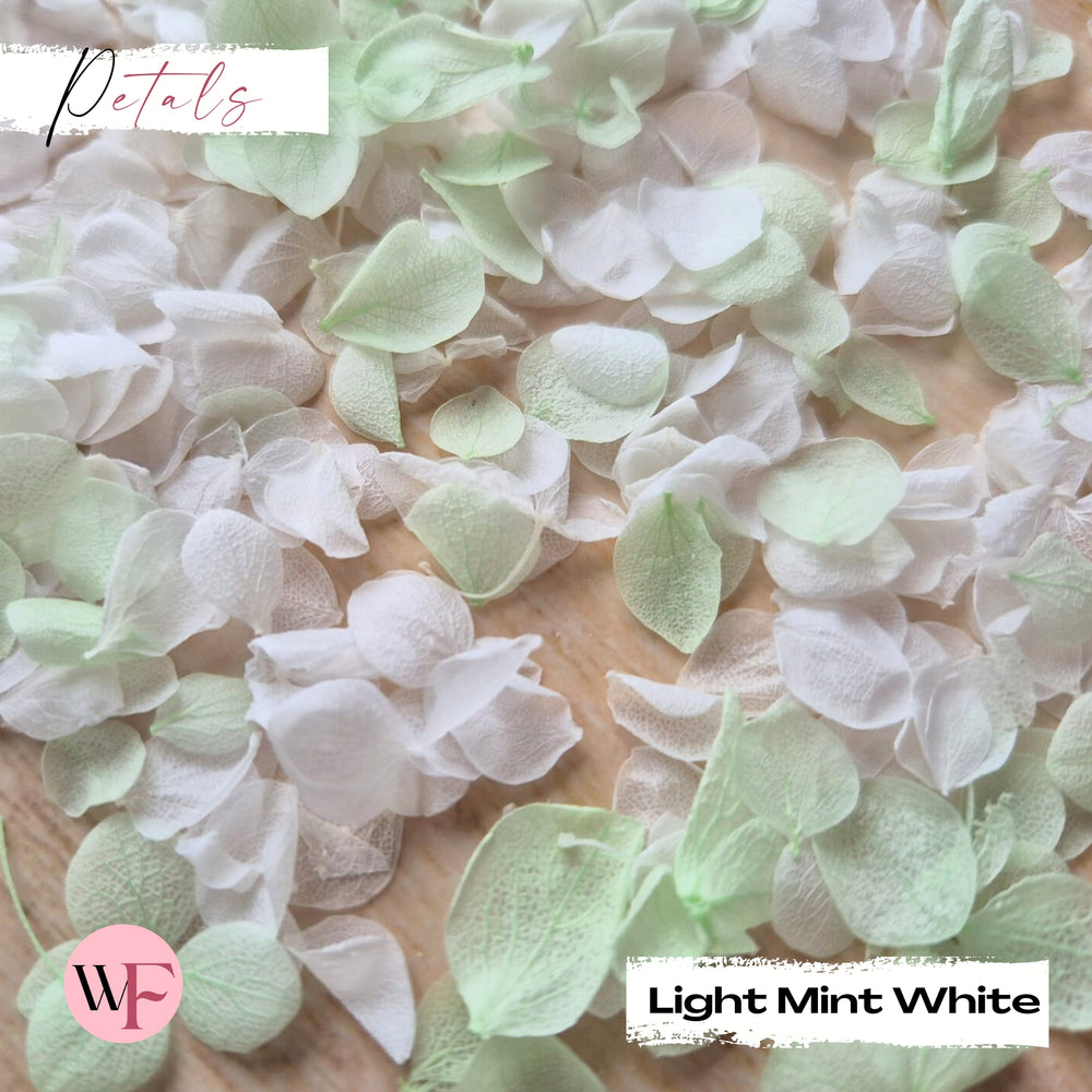 Snow Petal Confetti®  - Light Mint White