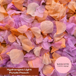 Petal Confetti hydrangea - Light Purple Peach