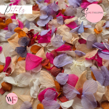 Petal Confetti hydrangea - Lavender Fruit Salad Peach