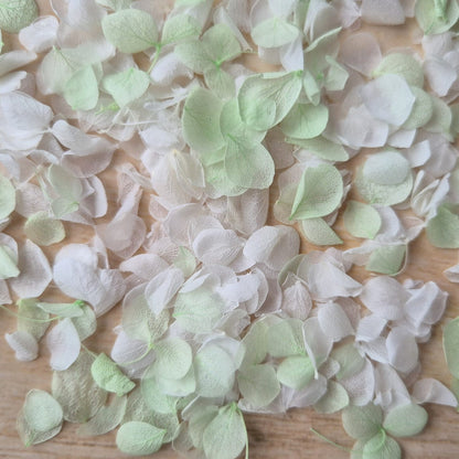 Snow Petal Confetti®  - Light Mint White