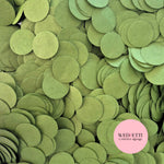 Circles Large 2.5cm Biodegradable - Deep Sage