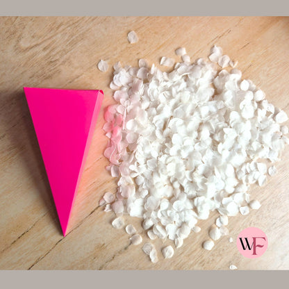 DIY closed Petal/Paper confetti cones (Large)