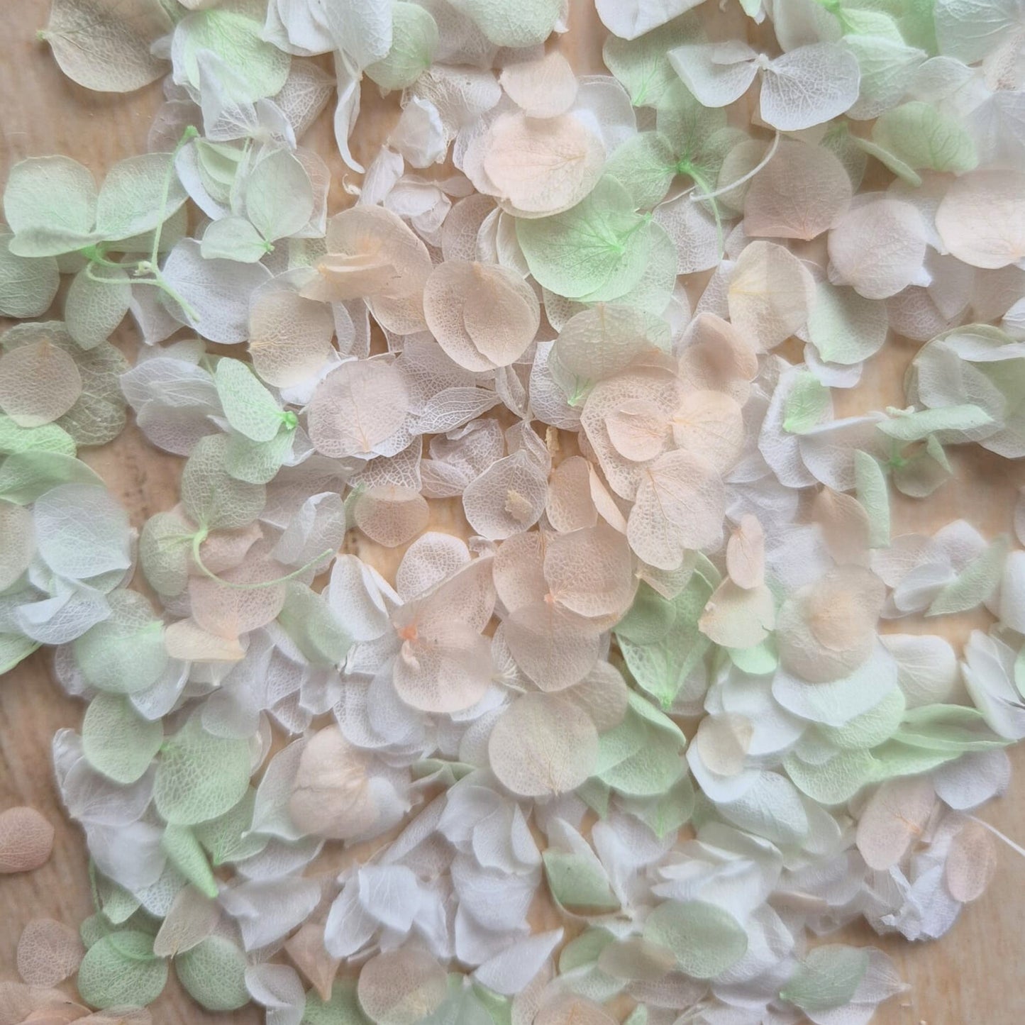 Snow Petal Confetti® - Light Mint Peach White
