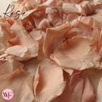 Rose Petals - Champagne
