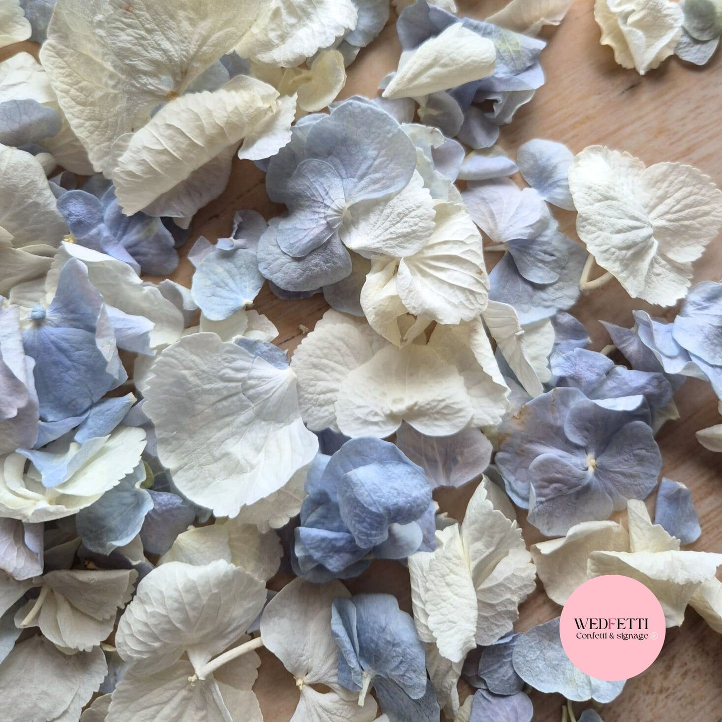 SLOW FALLING PETALS Dusty blue Ivory White hydrangea petal premium mix