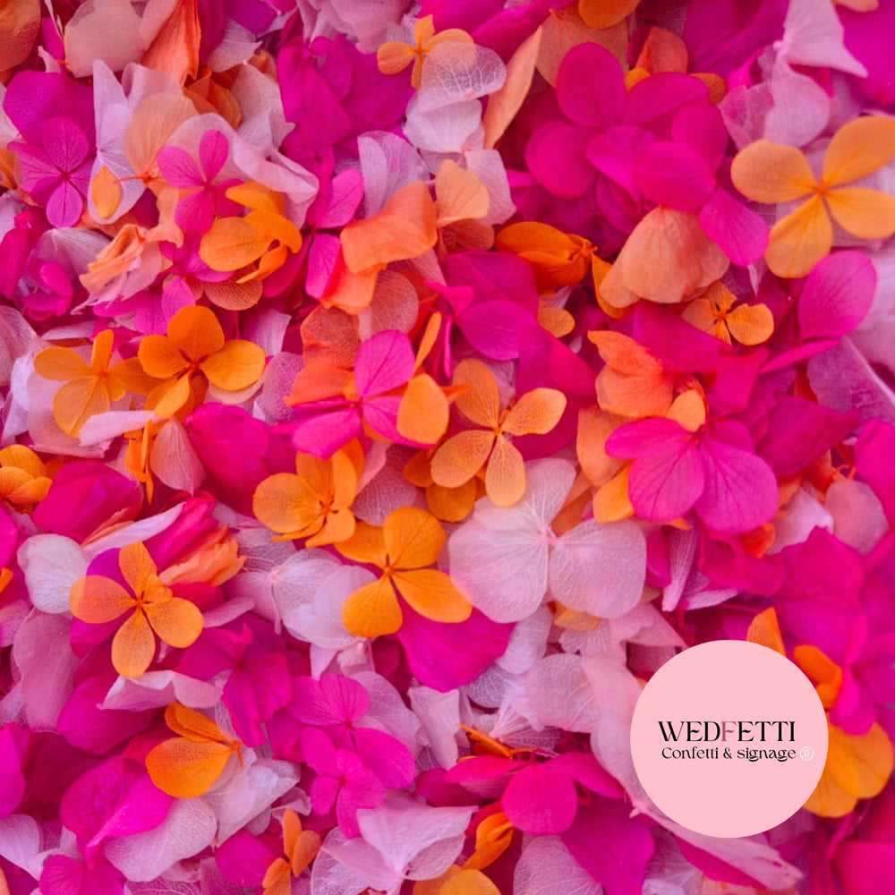 Petal Confetti hydrangea - Double Pink Orange + FlutterFly®