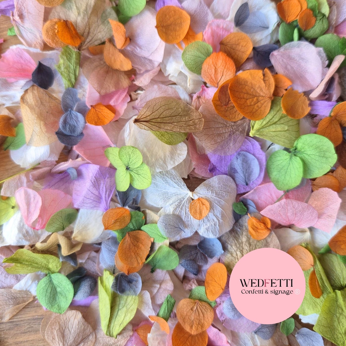 Petal Confetti hydrangea - Autumn Party Mix Orange