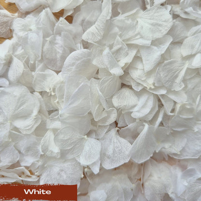 Create your own custom Hydrangea Petal Confetti mix