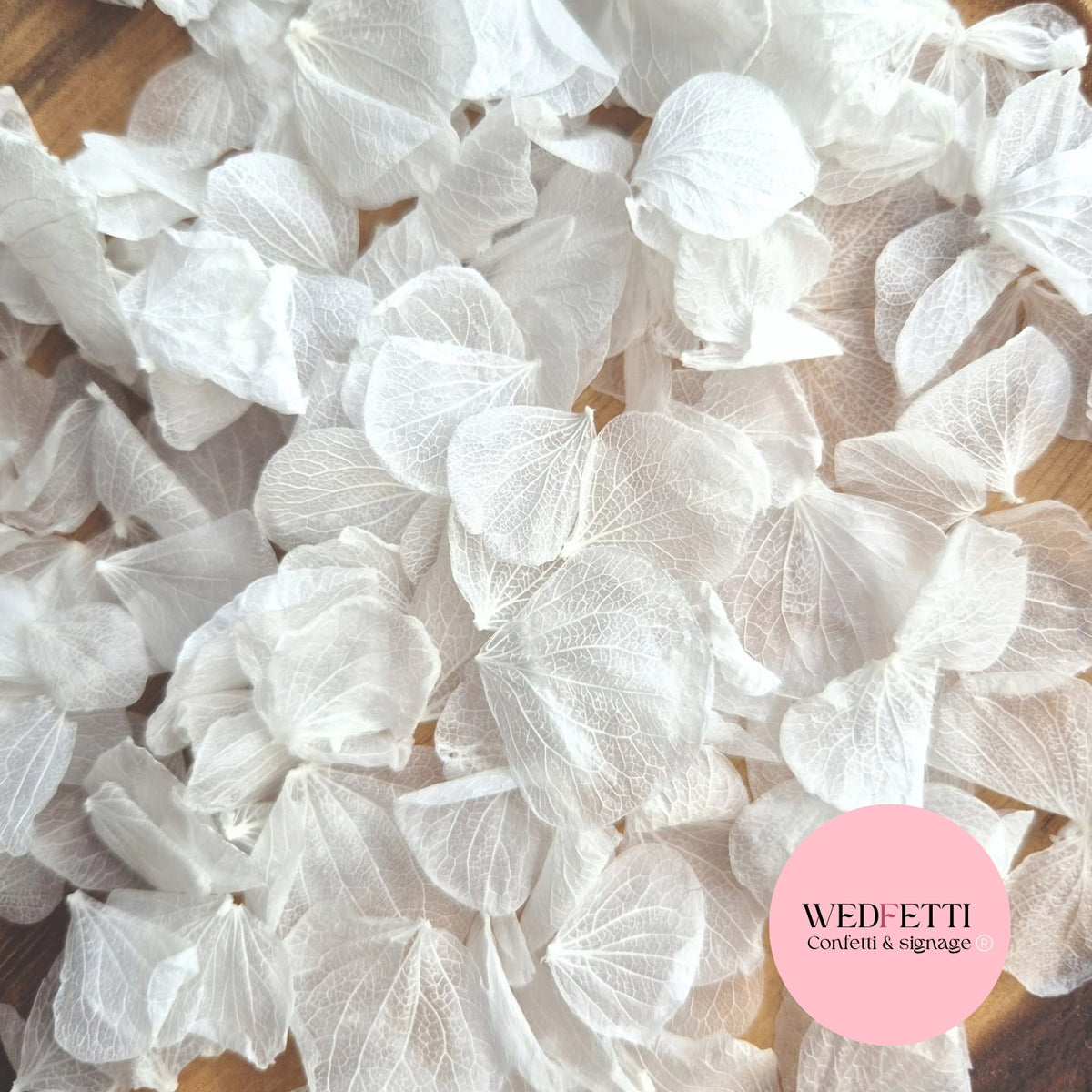 Hydrangea Petals - Wedding White