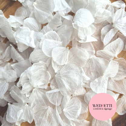 Hydrangea Petals - Wedding White