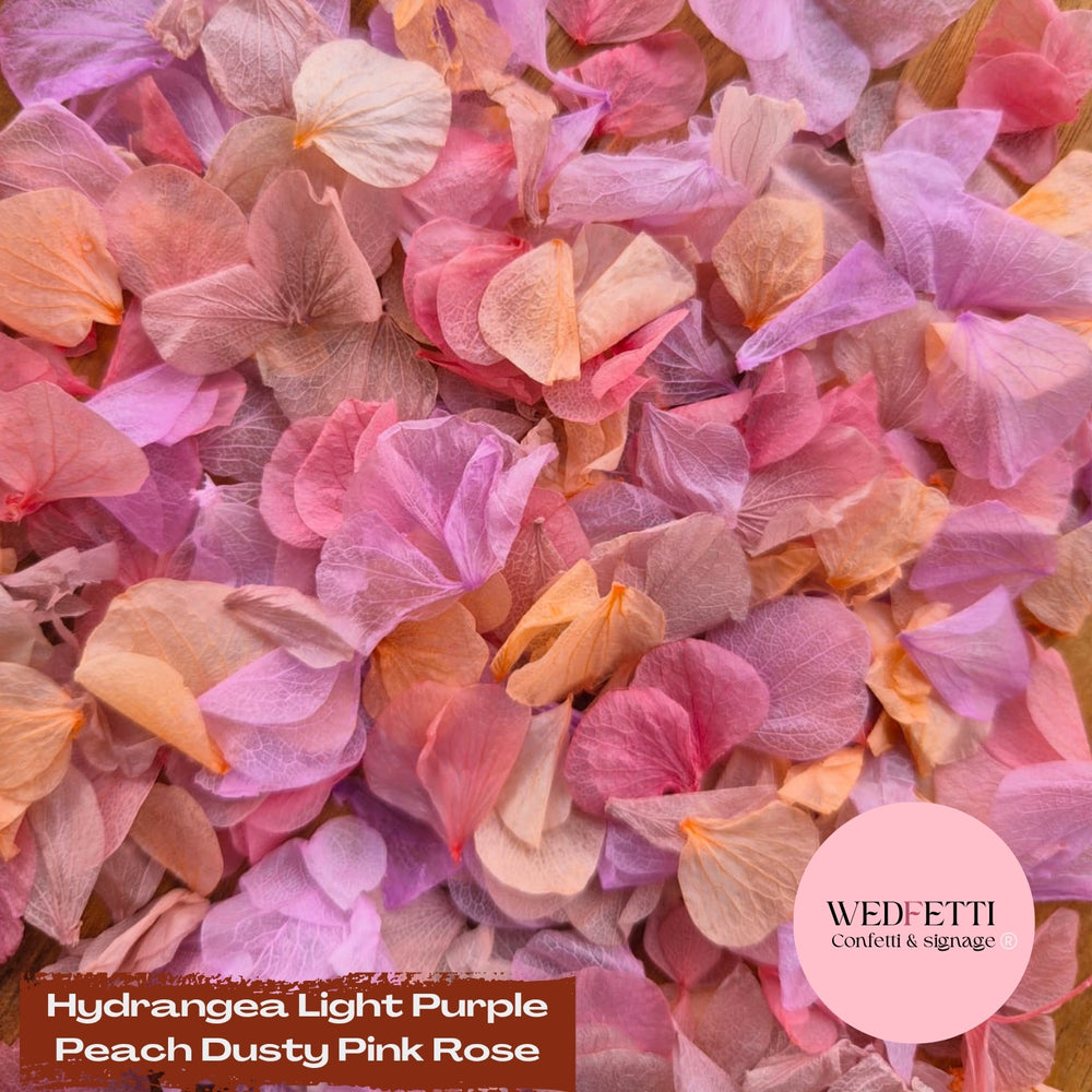 Petal Confetti hydrangea - Light Purple Peach Dusty Pink Rose