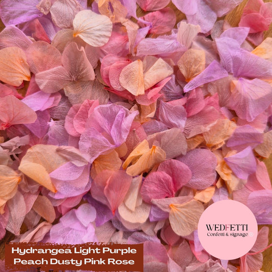 Petal Confetti hydrangea - Light Purple Peach Dusty Pink Rose