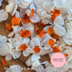 Pure White FlutterFly® Petal Confetti + Burnt Orange
