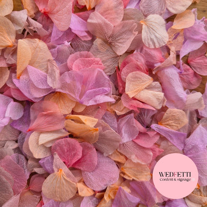 Petal Confetti hydrangea - Light Purple Peach Dusty Pink Rose