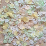 Snow Petal Confetti® - Sherbet Pastel