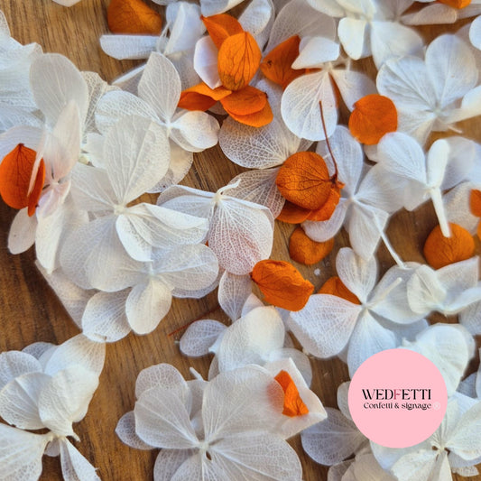 Pure White FlutterFly Petal Confetti + Burnt Orange