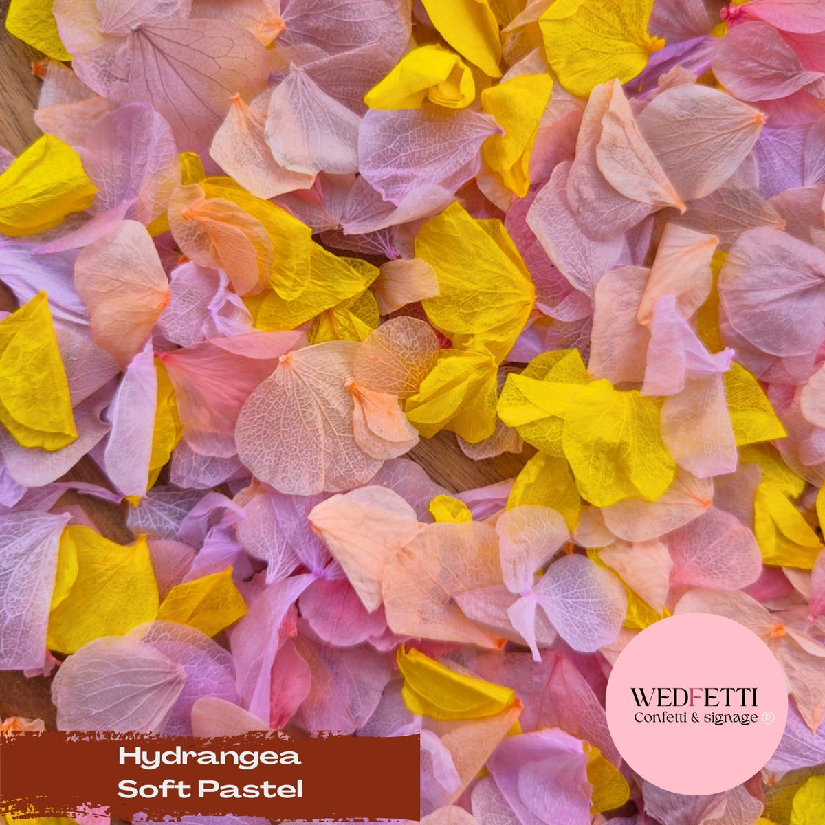 Petal Confetti hydrangea - Soft Pastel