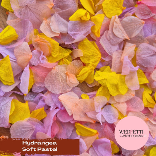 Petal Confetti hydrangea - Soft Pastel
