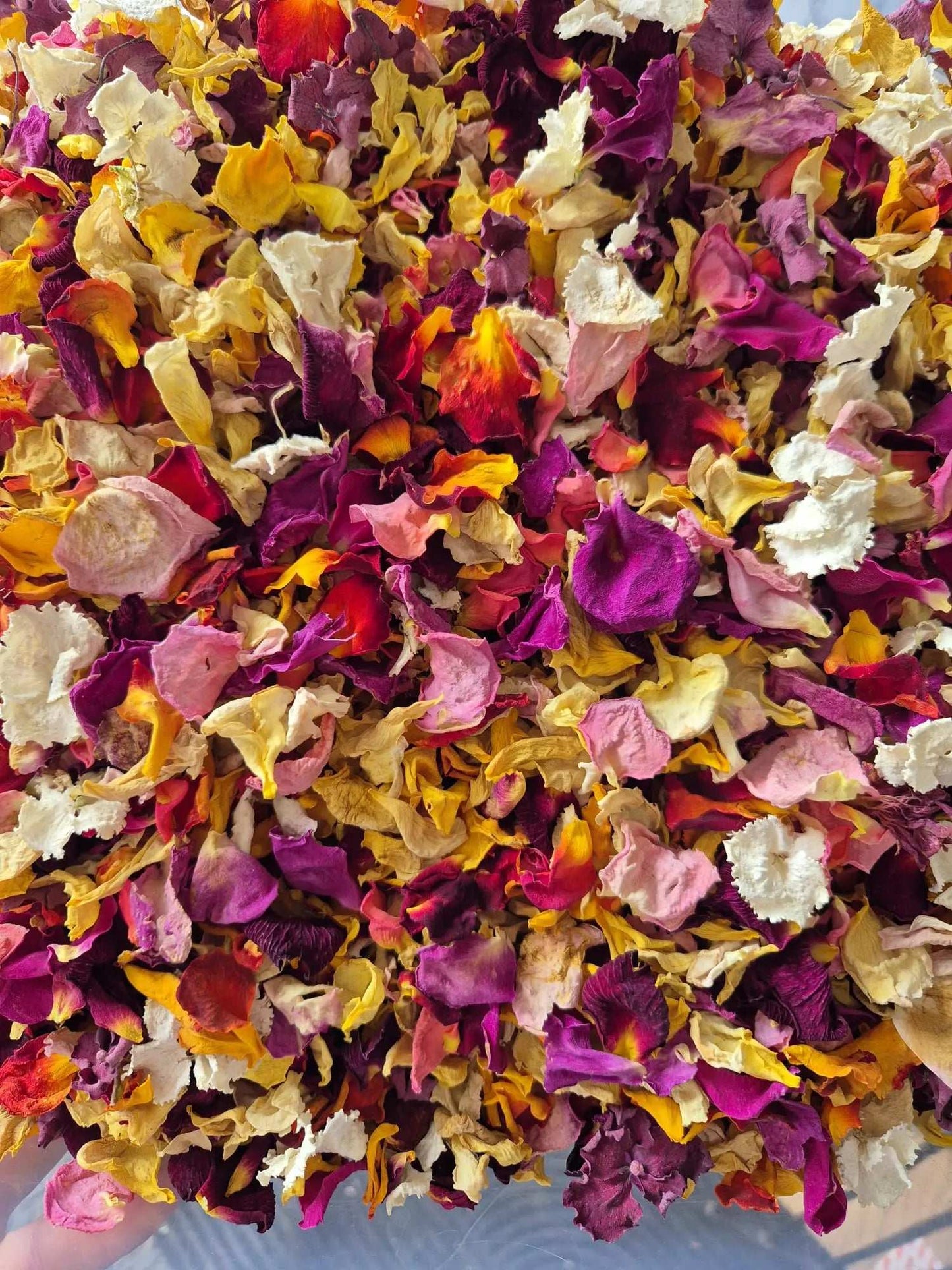 Multi Colour mixed petal Wedfetti mix - pre order WedFetti