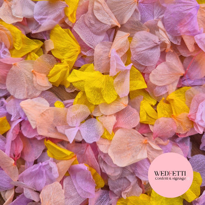 Petal Confetti hydrangea - Soft Pastel