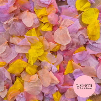 Petal Confetti hydrangea - Soft Pastel