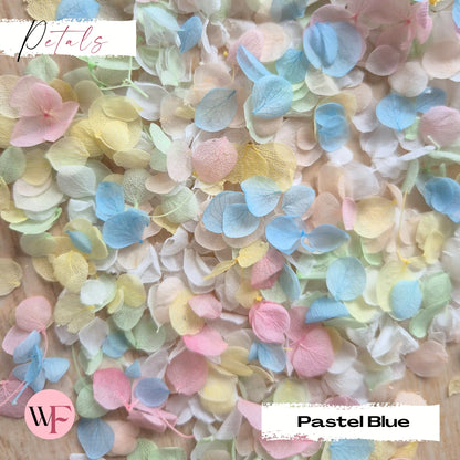 Snow Petal Confetti® - Pastel Blue