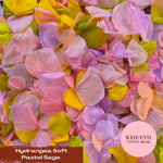 Petal Confetti hydrangea - Soft Pastel Sage