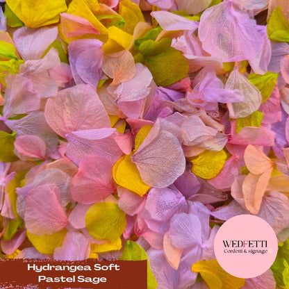 Petal Confetti hydrangea - Soft Pastel Sage