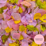 Petal Confetti hydrangea - Soft Pastel Sage