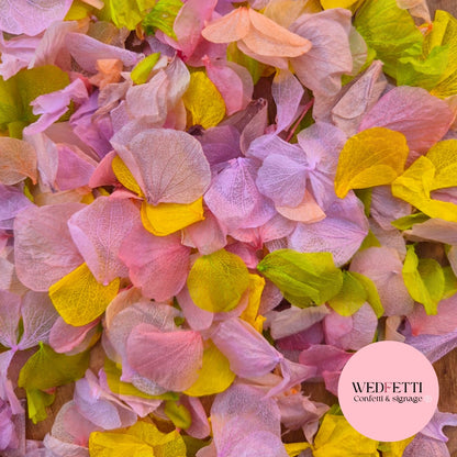 Petal Confetti hydrangea - Soft Pastel Sage