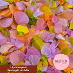 Petal Confetti hydrangea - Spring Fruit Mix