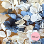 FlutterFly Petals - Dusty Blue White
