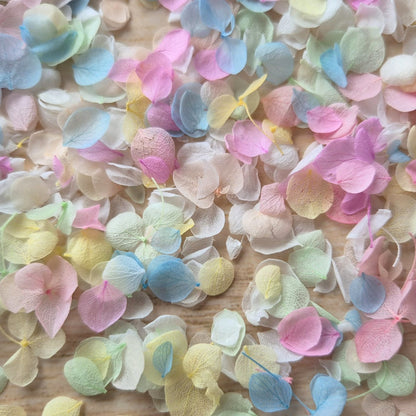 Snow Petal Confetti® - Pastel Blue Pink