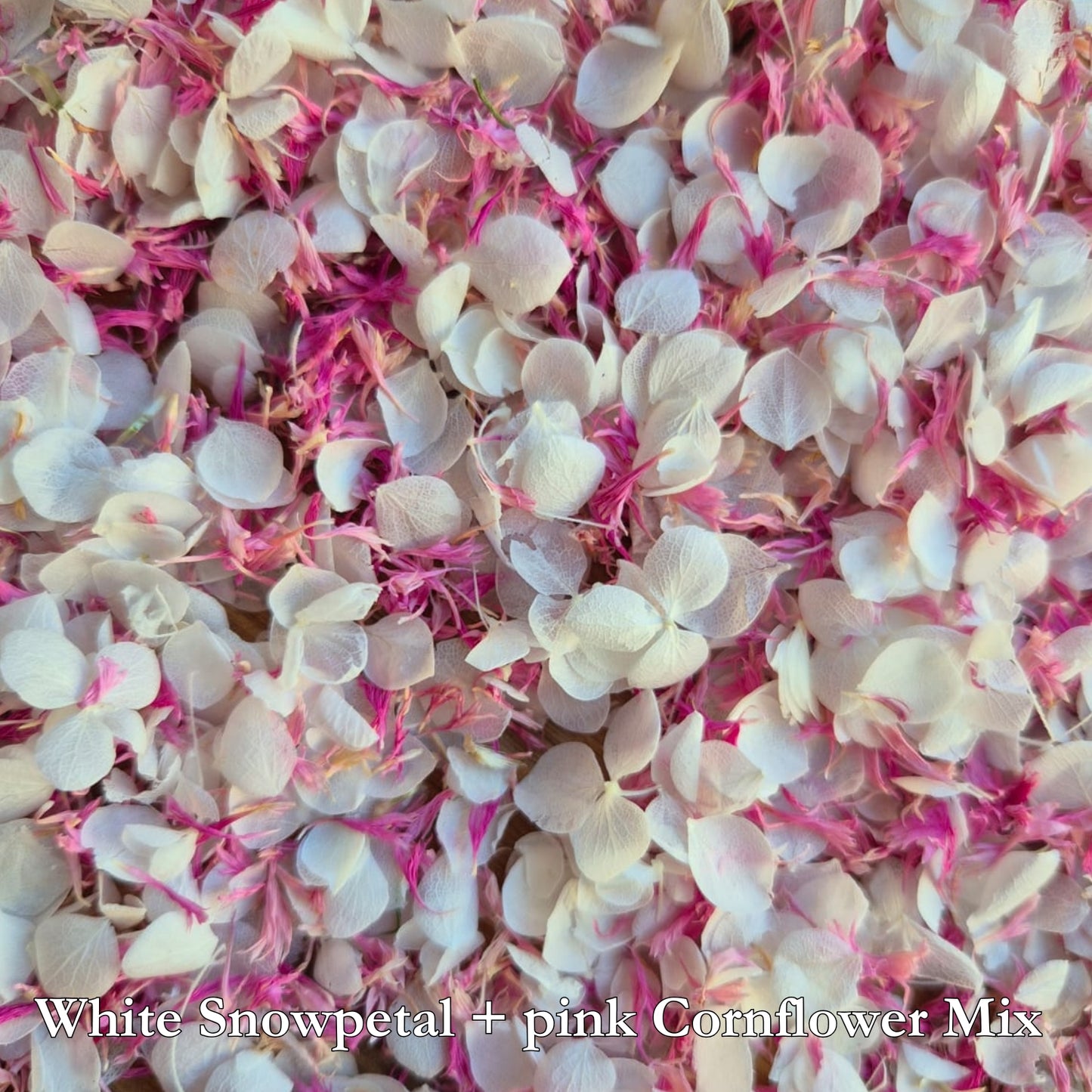 Natural Cornflower & Snow Petal® mix Pink