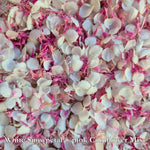 Natural Cornflower & Snow Petal® mix Pink