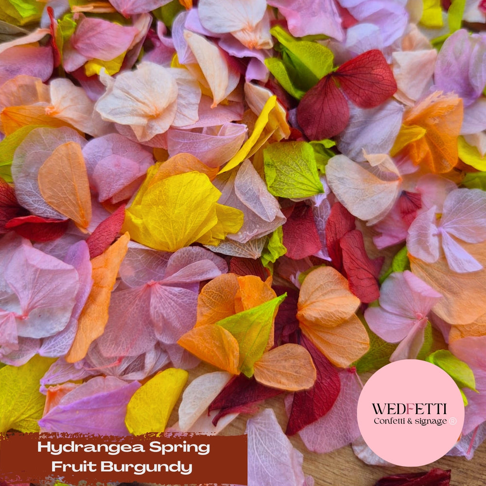Petal Confetti hydrangea - Spring Fruit Burgundy
