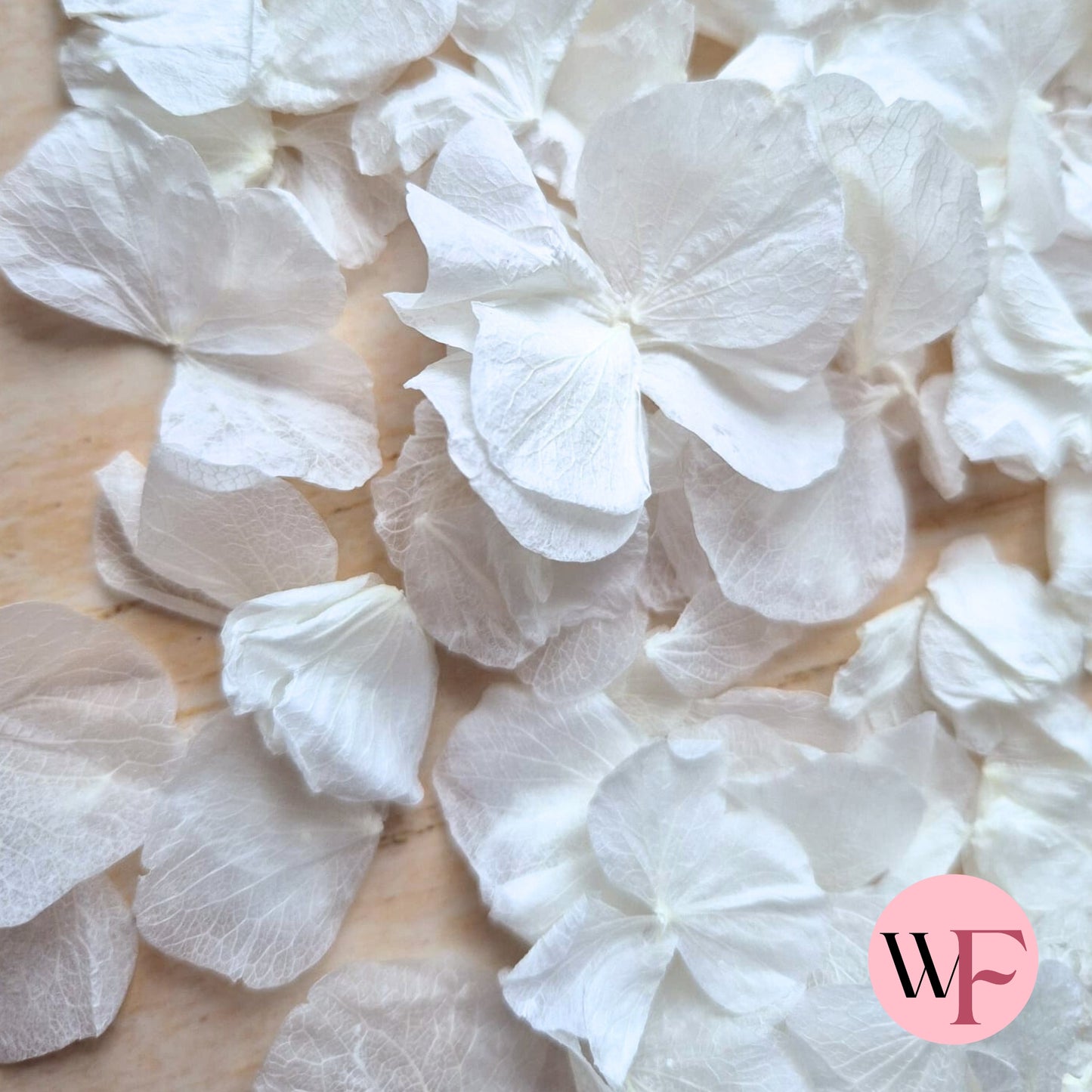 Wedding White hydrangea PETALS