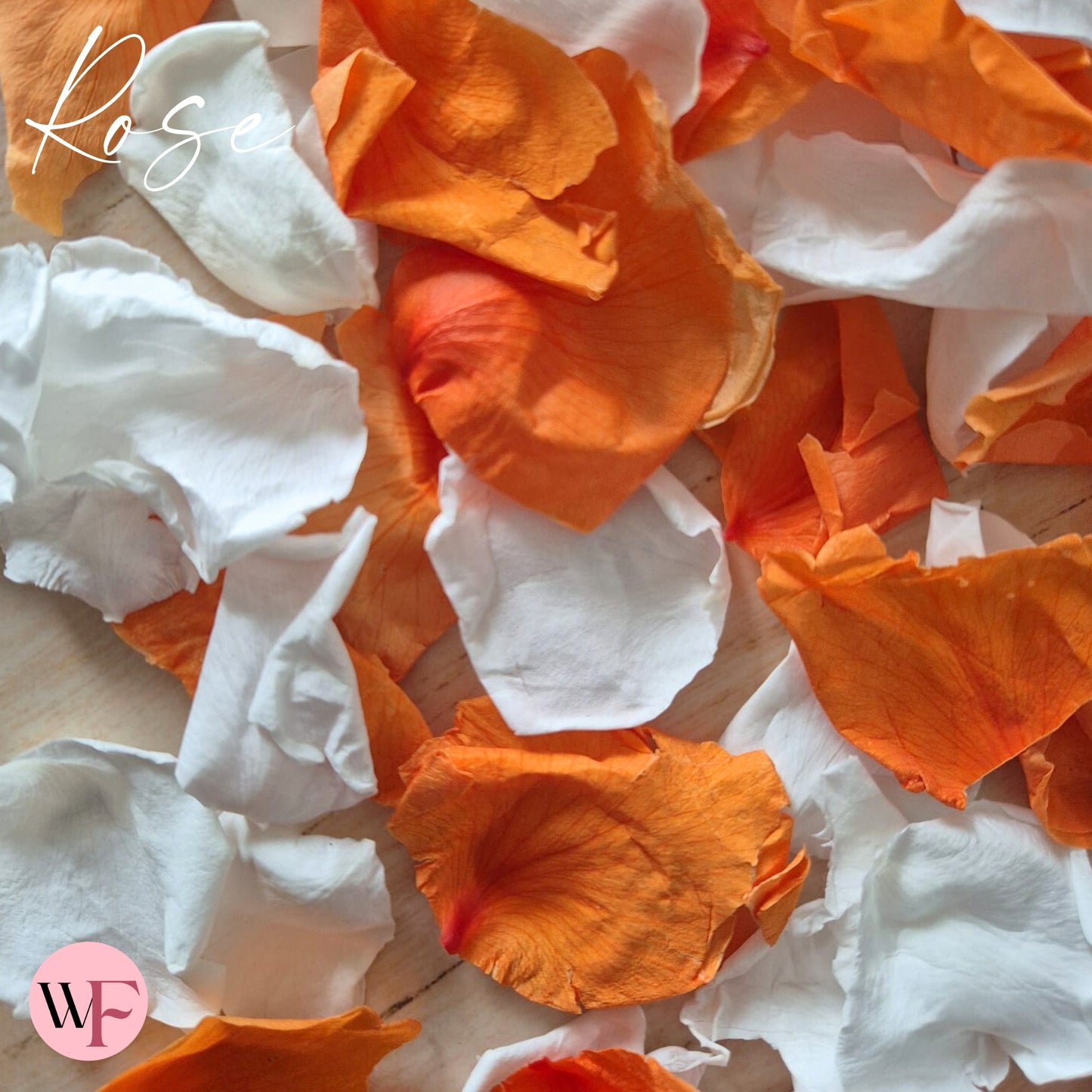 Rose Petals - Burnt Orange White