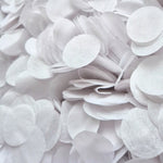 Circles Large 2.5cm Biodegradable - Wedding White