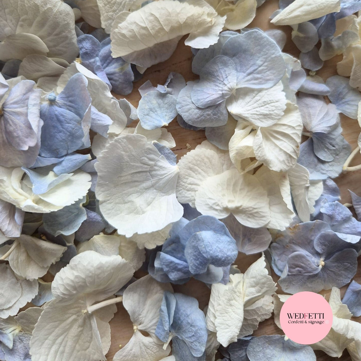 SLOW FALLING PETALS Dusty blue Ivory White hydrangea petal premium mix