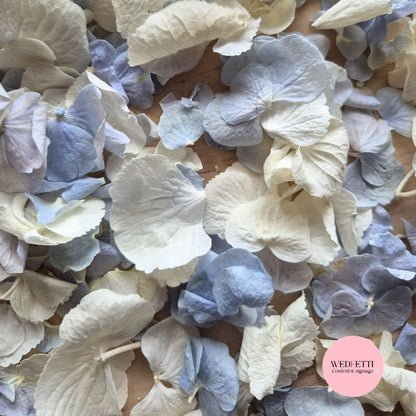 SLOW FALLING PETALS Dusty blue Ivory White hydrangea petal premium mix