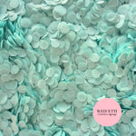 Slow falling paper Confetti - Blue Mint