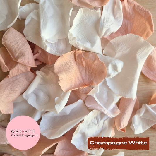 Rose Petals - White Champagne