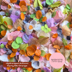 Petal Confetti hydrangea - Autumn Party Mix Orange