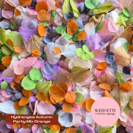 Petal Confetti hydrangea - Autumn Party Mix Orange