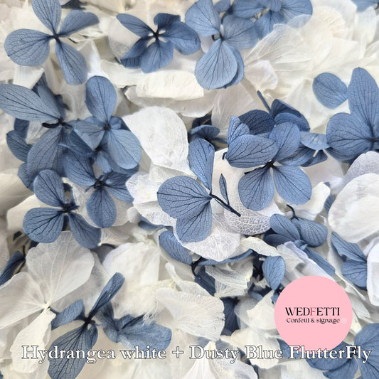 Petal Confetti hydrangea - Dusty Blue FlutterFly + White Hydrangea