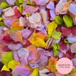 Petal Confetti hydrangea - Spring Fruit Burgundy